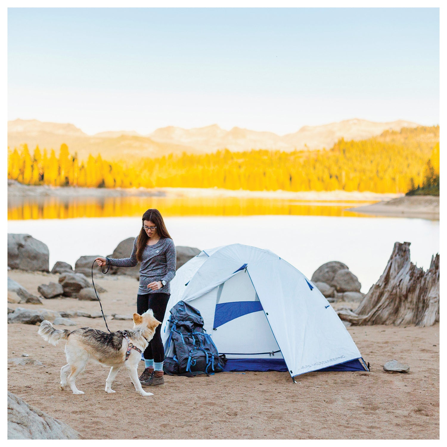 Lyn X 2 | Backcountry Sportsman