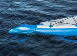 Paddle Sports | Backcountry Sportsman