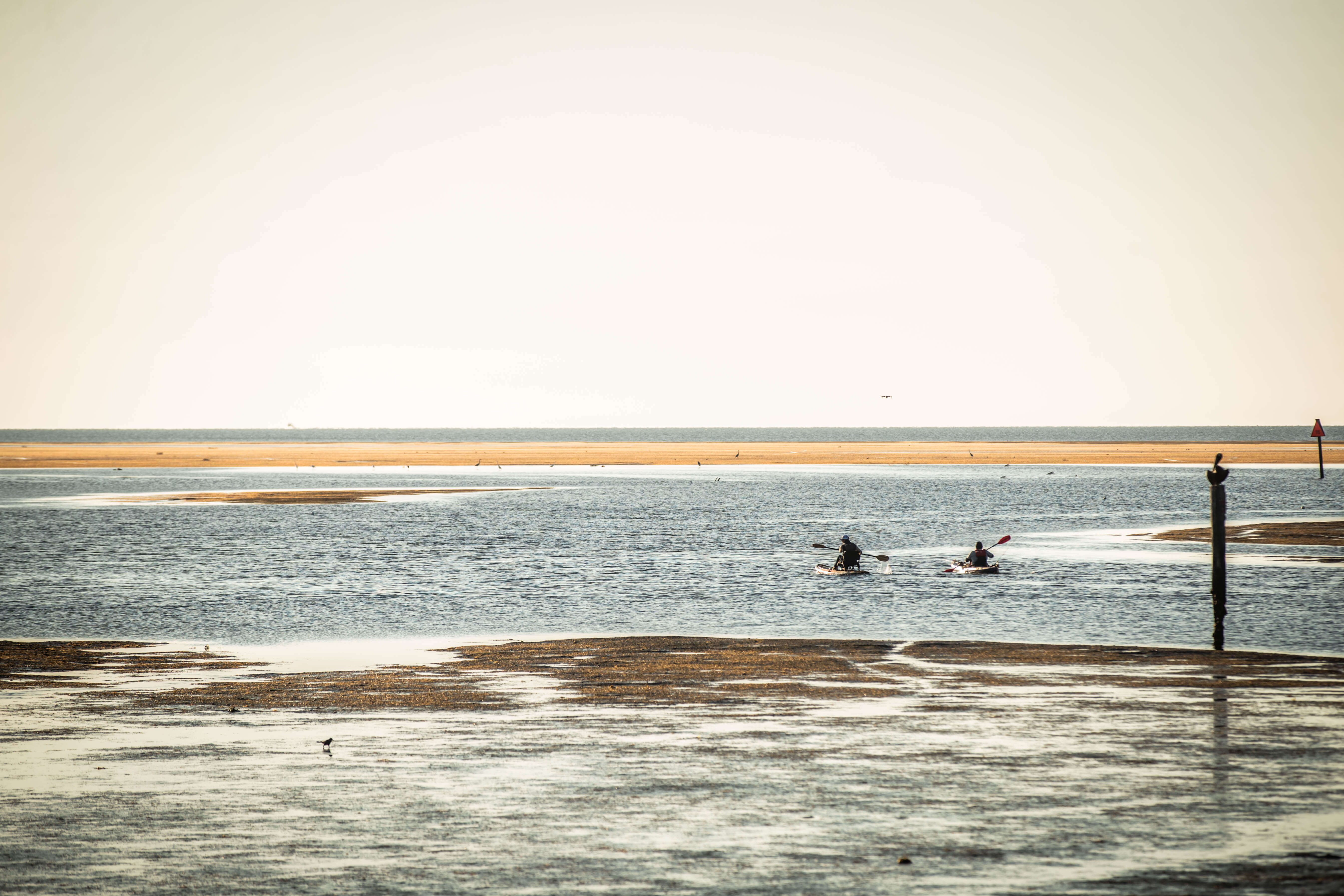 Shaka 100 | Backcountry Sportsman