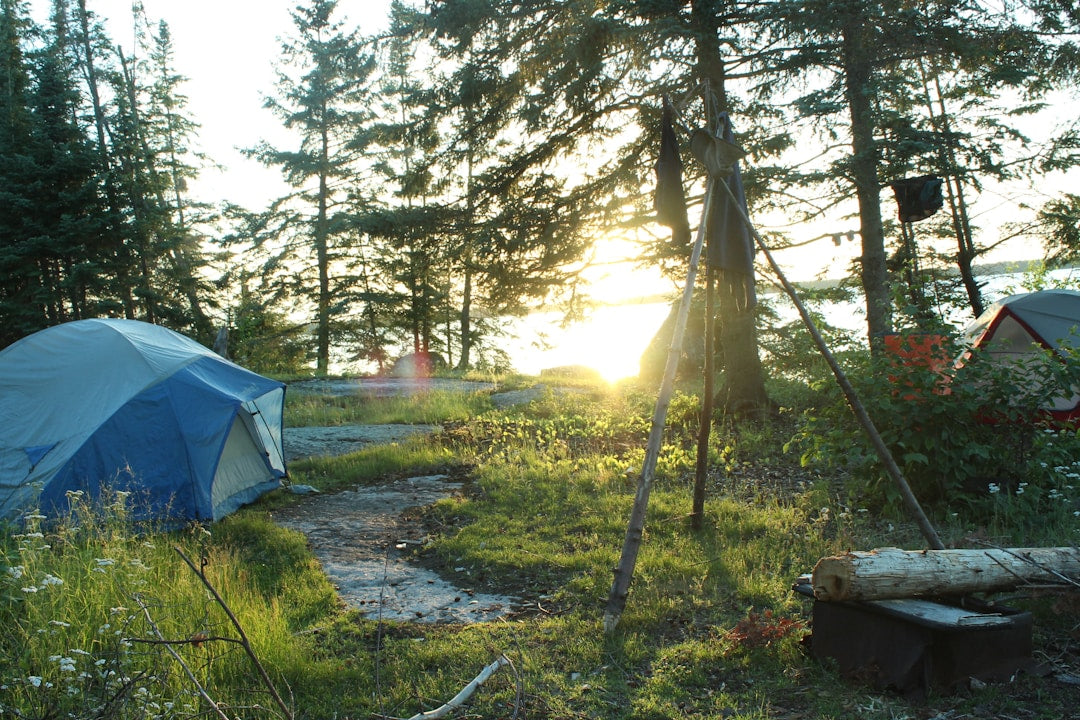 Camping tent in a forest