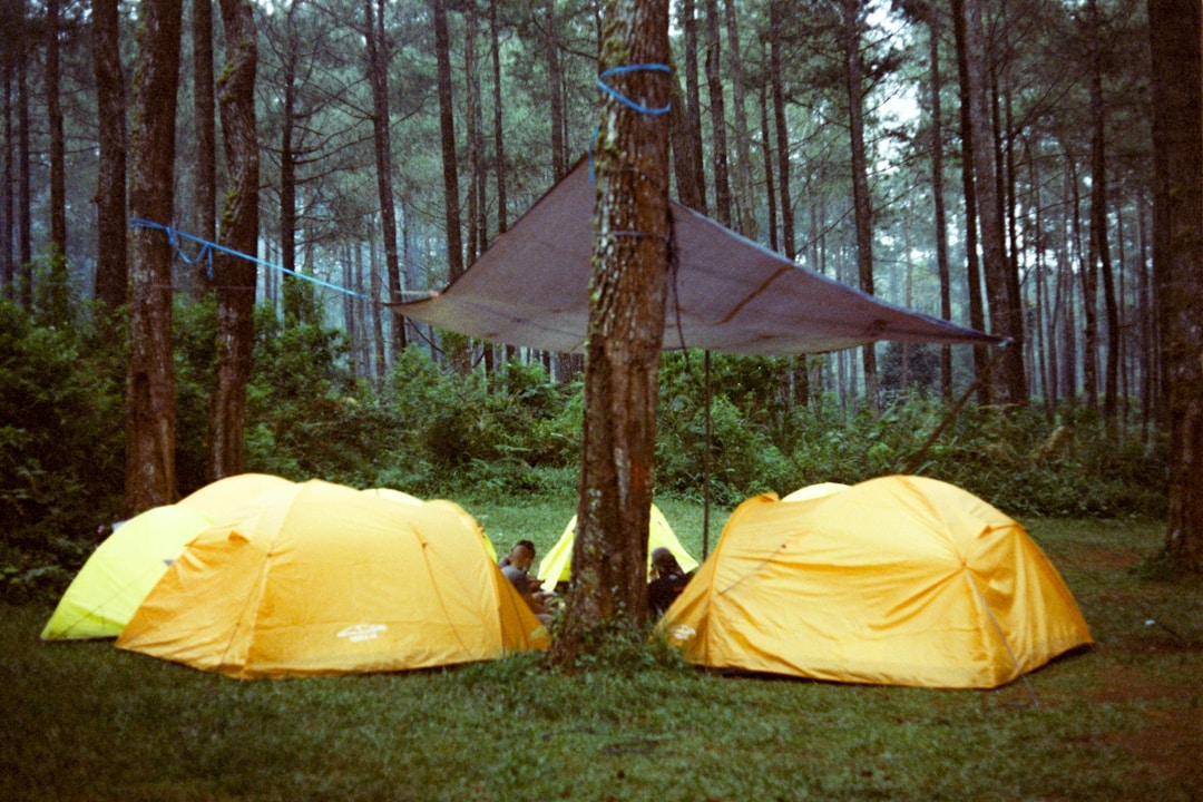 Naturehike 6-8 Person Tent in a forest setting