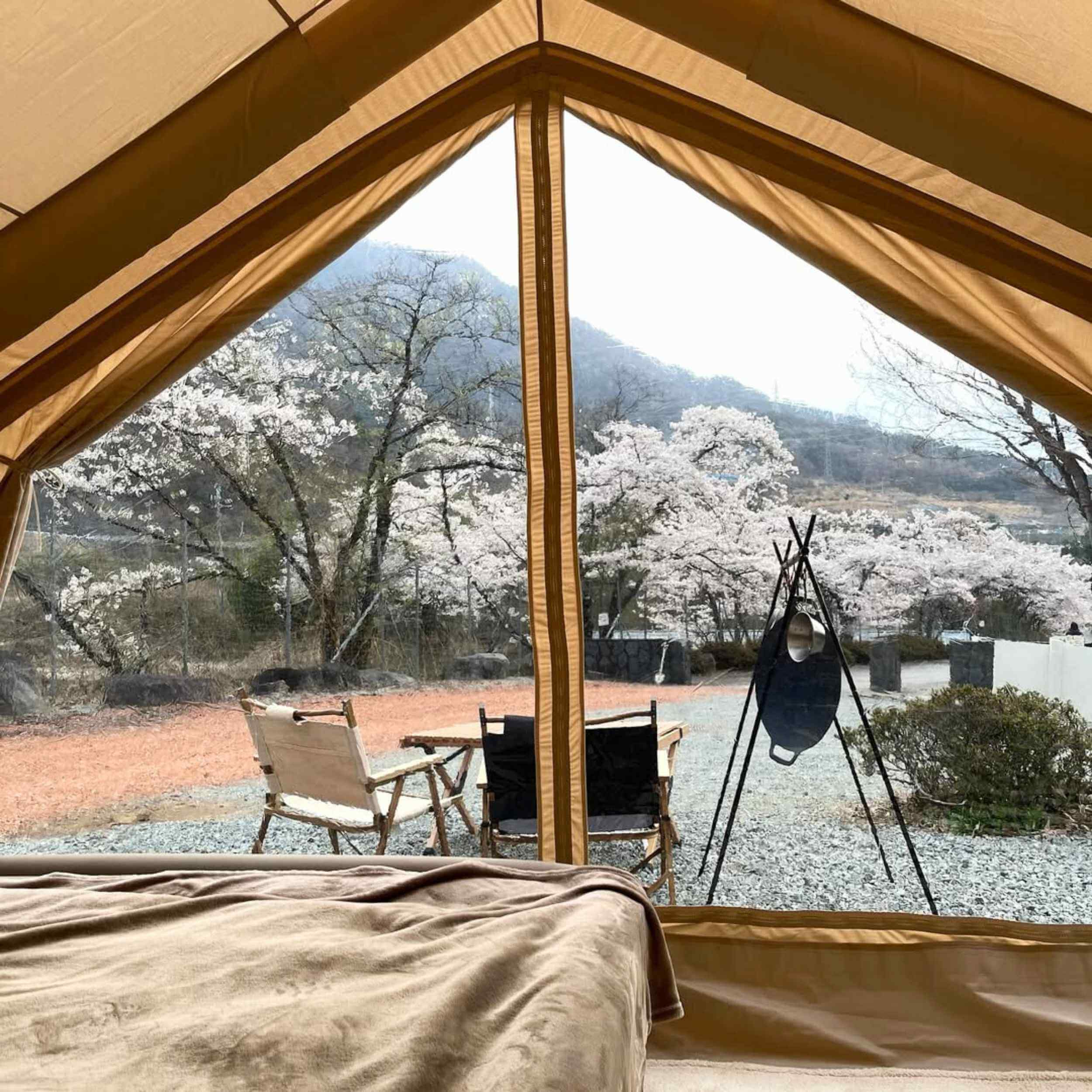 Coody 13.6 (Koala-5) Beige Inflatable Tent House for Camping (2-8 person) | Backcountry Sportsman